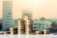 薩摩亞公司注冊(cè)條件要求說明 薩摩亞公司注冊(cè)多少錢