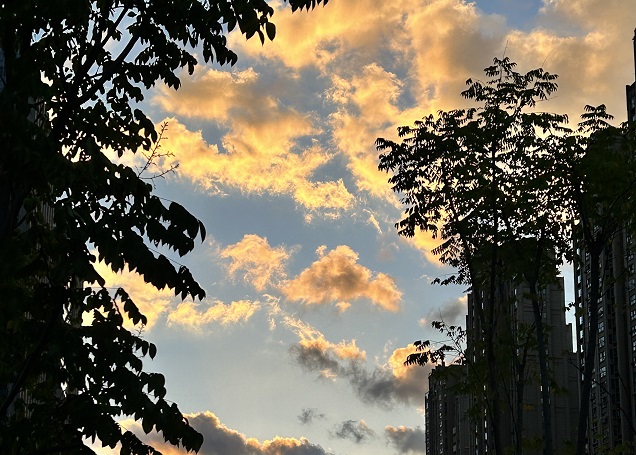 澳大利亞公司注冊(cè)申請(qǐng)?zhí)峤缓螅畔⑦€能修改嗎?