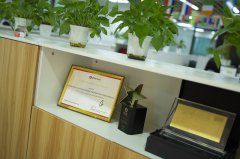 日本公司注冊(cè)選擇：空殼公司與實(shí)體公司的適用場(chǎng)景