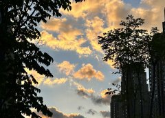 2025上半年，中國(guó)企業(yè)出海刷新全球副本：更猛、更強(qiáng)、更聰明